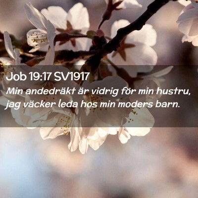 Picture 02 - Job 19:17 SV1917 - Min andedräkt är vidrig för min hustru, jag - Bible Verse Picture