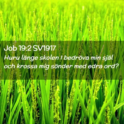 Picture 02 - Job 19:2 SV1917 - Huru länge skolen I bedröva min själ och - Bible Verse Picture