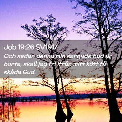 Picture 02 - Job 19:26 SV1917 - Och sedan denna min sargade hud är borta, skall - Bible Verse Picture