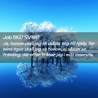 Picture 02 - Job 19:27 SV1917 - Ja, honom skall jag få skåda, mig till hjälp, - Bible Verse Picture