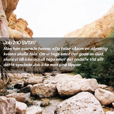 Picture 02 - Job 2:10 SV1917 - Man han svarade henne: »Du talar såsom en - Bible Verse Picture