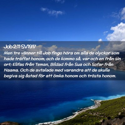 Picture 02 - Job 2:11 SV1917 - Men tre vänner till Job fingo höra om alla de - Bible Verse Picture