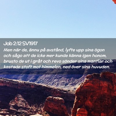 Picture 02 - Job 2:12 SV1917 - Men när de, ännu på avstånd, lyfte upp sina - Bible Verse Picture