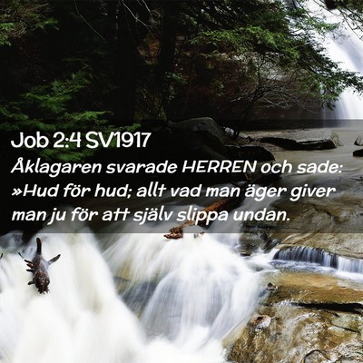 Picture 02 - Job 2:4 SV1917 - Åklagaren svarade HERREN och sade: »Hud för - Bible Verse Picture