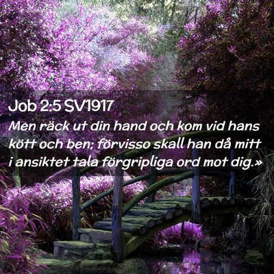 Picture 02 - Job 2:5 SV1917 - Men räck ut din hand och kom vid hans kött och - Bible Verse Picture
