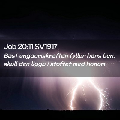 Picture 02 - Job 20:11 SV1917 - Bäst ungdomskraften fyller hans ben, skall den - Bible Verse Picture