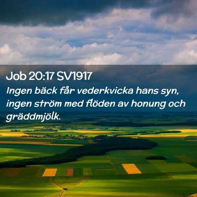 Picture 02 - Job 20:17 SV1917 - Ingen bäck får vederkvicka hans syn, ingen - Bible Verse Picture