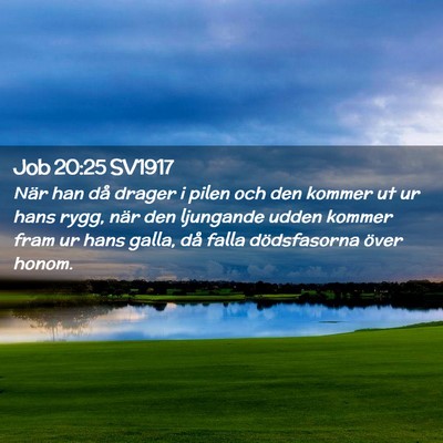 Picture 02 - Job 20:25 SV1917 - När han då drager i pilen och den kommer ut ur - Bible Verse Picture