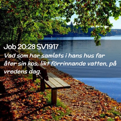Picture 02 - Job 20:28 SV1917 - Vad som har samlats i hans hus far åter sin kos, - Bible Verse Picture