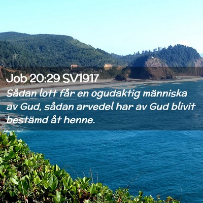 Picture 02 - Job 20:29 SV1917 - Sådan lott får en ogudaktig människa av Gud, - Bible Verse Picture