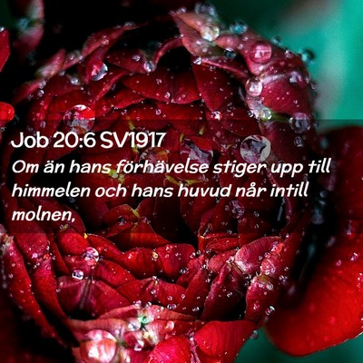 Picture 02 - Job 20:6 SV1917 - Om än hans förhävelse stiger upp till himmelen - Bible Verse Picture