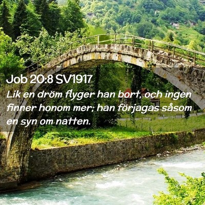 Picture 02 - Job 20:8 SV1917 - Lik en dröm flyger han bort, och ingen finner - Bible Verse Picture