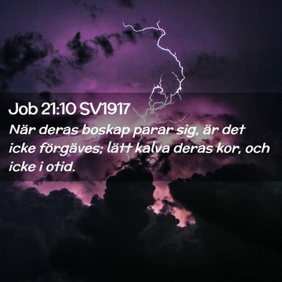 Picture 02 - Job 21:10 SV1917 - När deras boskap parar sig, är det icke - Bible Verse Picture