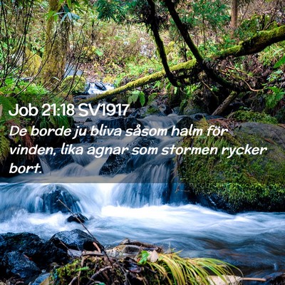Picture 02 - Job 21:18 SV1917 - De borde ju bliva såsom halm för vinden, lika - Bible Verse Picture