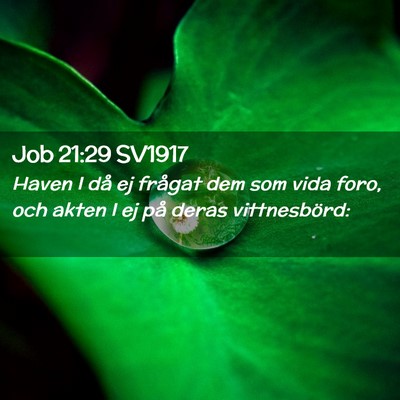 Picture 02 - Job 21:29 SV1917 - Haven I då ej frågat dem som vida foro, och - Bible Verse Picture