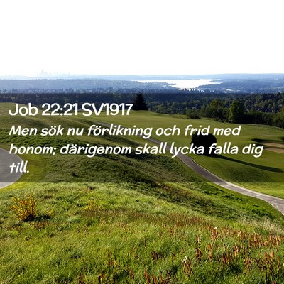 Picture 02 - Job 22:21 SV1917 - Men sök nu förlikning och frid med honom; - Bible Verse Picture