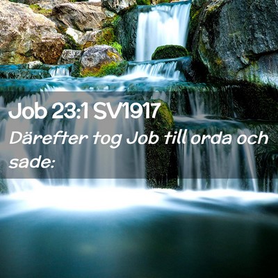 Picture 02 - Job 23:1 SV1917 - Därefter tog Job till orda och - Bible Verse Picture