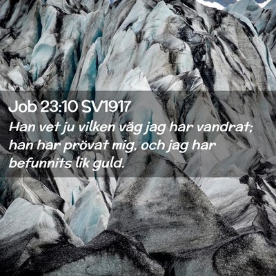 Picture 02 - Job 23:10 SV1917 - Han vet ju vilken väg jag har vandrat; han har - Bible Verse Picture