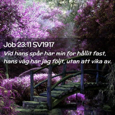 Picture 02 - Job 23:11 SV1917 - Vid hans spår har min for hållit fast, hans - Bible Verse Picture