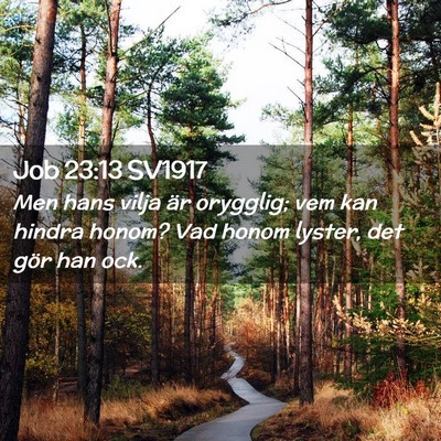 Picture 02 - Job 23:13 SV1917 - Men hans vilja är orygglig; vem kan hindra - Bible Verse Picture