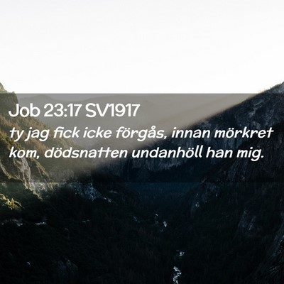 Picture 02 - Job 23:17 SV1917 - ty jag fick icke förgås, innan mörkret kom, - Bible Verse Picture
