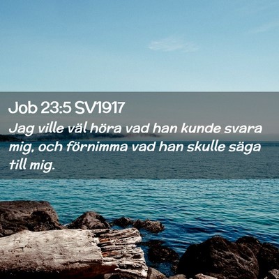 Picture 02 - Job 23:5 SV1917 - Jag ville väl höra vad han kunde svara mig, och - Bible Verse Picture