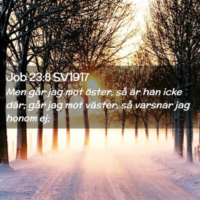 Picture 02 - Job 23:8 SV1917 - Men går jag mot öster, så är han icke där; - Bible Verse Picture