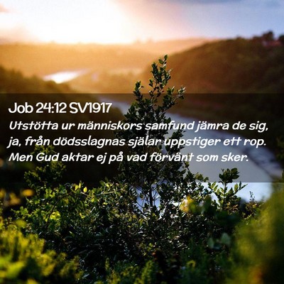Picture 02 - Job 24:12 SV1917 - Utstötta ur människors samfund jämra de sig, - Bible Verse Picture