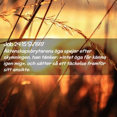 Picture 02 - Job 24:15 SV1917 - Äktenskapsbrytarens öga spejar efter - Bible Verse Picture