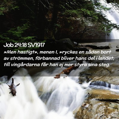 Picture 02 - Job 24:18 SV1917 - »Men hastigt», menen I, »ryckes en sådan bort - Bible Verse Picture