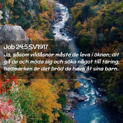 Picture 02 - Job 24:5 SV1917 - Ja, såsom vildåsnor måste de leva i öknen; - Bible Verse Picture
