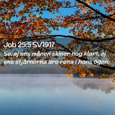 Picture 02 - Job 25:5 SV1917 - Se, ej ens månen skiner nog klart, ej ens - Bible Verse Picture