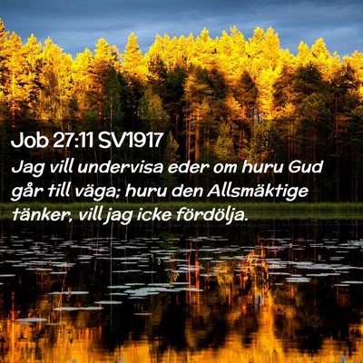 Picture 02 - Job 27:11 SV1917 - Jag vill undervisa eder om huru Gud går till - Bible Verse Picture
