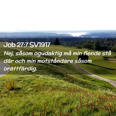 Picture 02 - Job 27:7 SV1917 - Nej, såsom ogudaktig må min fiende stå där - Bible Verse Picture