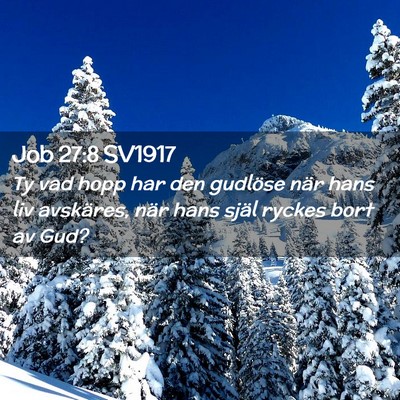 Picture 02 - Job 27:8 SV1917 - Ty vad hopp har den gudlöse när hans liv - Bible Verse Picture