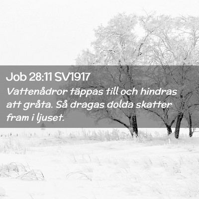 Picture 02 - Job 28:11 SV1917 - Vattenådror täppas till och hindras att gråta. - Bible Verse Picture