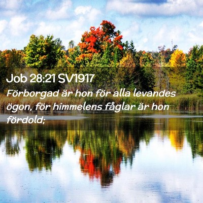Picture 02 - Job 28:21 SV1917 - Förborgad är hon för alla levandes ögon, för - Bible Verse Picture
