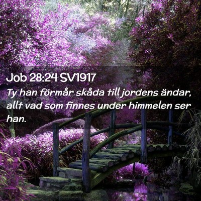 Picture 02 - Job 28:24 SV1917 - Ty han förmår skåda till jordens ändar, allt - Bible Verse Picture