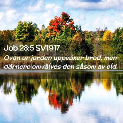 Picture 02 - Job 28:5 SV1917 - Ovan ur jorden uppväxer bröd, men därnere - Bible Verse Picture