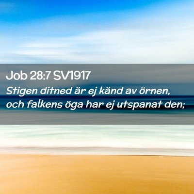 Picture 02 - Job 28:7 SV1917 - Stigen ditned är ej känd av örnen, och falkens - Bible Verse Picture