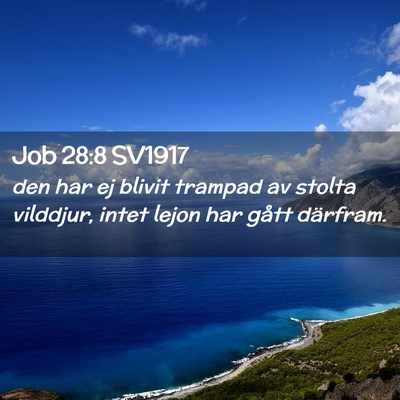 Picture 02 - Job 28:8 SV1917 - den har ej blivit trampad av stolta vilddjur, - Bible Verse Picture