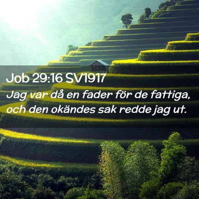 Picture 02 - Job 29:16 SV1917 - Jag var då en fader för de fattiga, och den - Bible Verse Picture