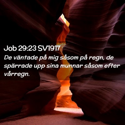Picture 02 - Job 29:23 SV1917 - De väntade på mig såsom på regn, de spärrade - Bible Verse Picture