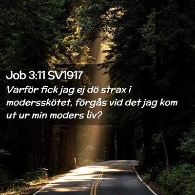 Picture 02 - Job 3:11 SV1917 - Varför fick jag ej dö strax i modersskötet, - Bible Verse Picture