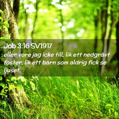 Picture 02 - Job 3:16 SV1917 - eller vore jag icke till, lik ett nedgrävt - Bible Verse Picture