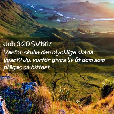 Picture 02 - Job 3:20 SV1917 - Varför skulle den olycklige skåda ljuset? Ja, - Bible Verse Picture