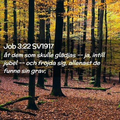 Picture 02 - Job 3:22 SV1917 - åt dem som skulle glädjas -- ja, intill jubel - Bible Verse Picture