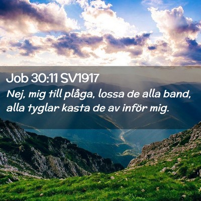 Picture 02 - Job 30:11 SV1917 - Nej, mig till plåga, lossa de alla band, alla - Bible Verse Picture