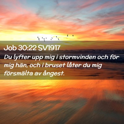 Picture 02 - Job 30:22 SV1917 - Du lyfter upp mig i stormvinden och för mig - Bible Verse Picture