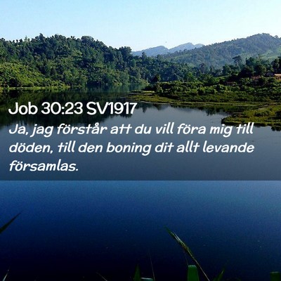 Picture 02 - Job 30:23 SV1917 - Ja, jag förstår att du vill föra mig till - Bible Verse Picture